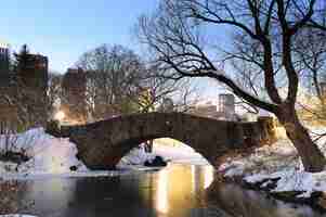 Bezpłatne zdjęcie central park w nowym jorku na manhattanie zimą