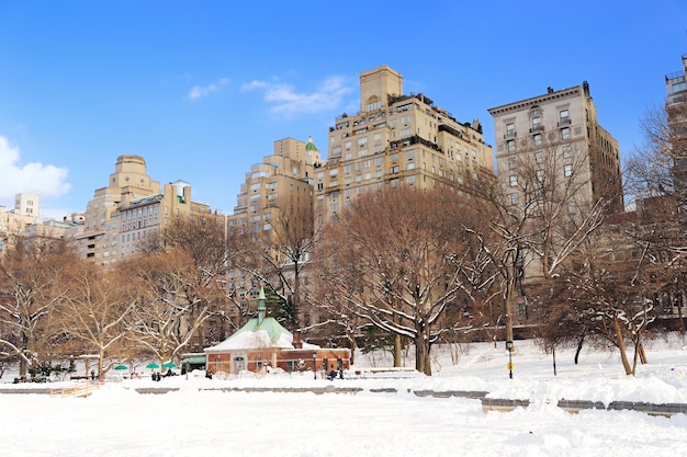 Central Park w Nowym Jorku na Manhattanie zimą