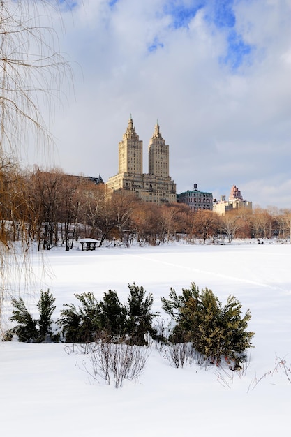 Bezpłatne zdjęcie central park w nowym jorku na manhattanie zimą