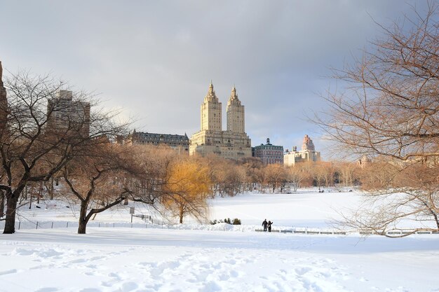 Central Park w Nowym Jorku na Manhattanie zimą