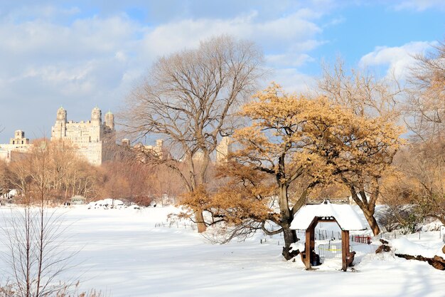 Central Park w Nowym Jorku na Manhattanie zimą