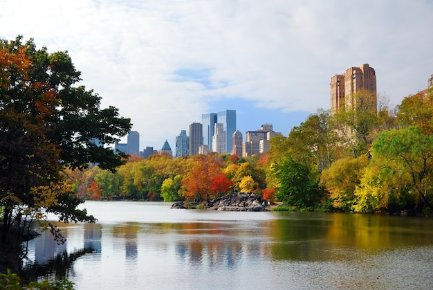 Central Park W Nowym Jorku Na Manhattanie