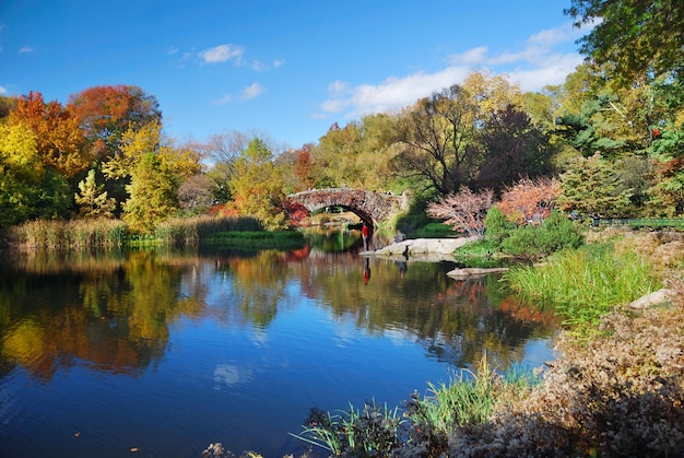 Central Park w Nowym Jorku na Manhattanie