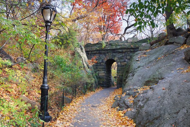 Central Park w Nowym Jorku na Manhattanie