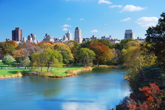 Central Park W Nowym Jorku Na Manhattanie