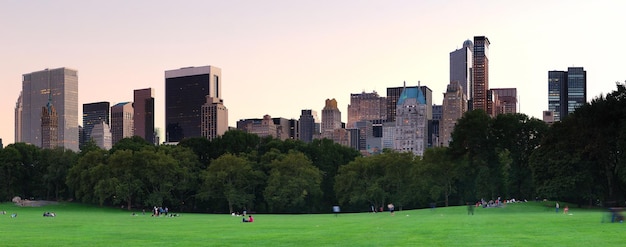 Central Park w Nowym Jorku w panoramie zmierzchu