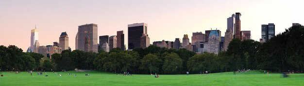 Central Park w Nowym Jorku w panoramie zmierzchu