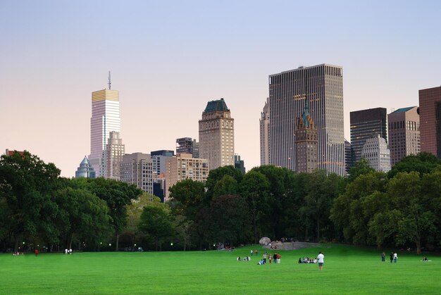 Central Park w Nowym Jorku w panoramie zmierzchu