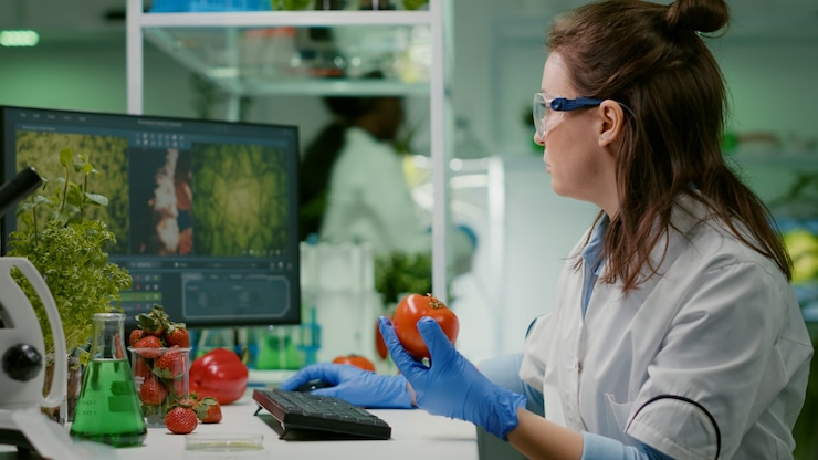 Bezpłatny plik Zdjęcie chemik farmaceutyczny badający pomidor w eksperymencie mikrobiologicznym wpisującym informacje medyczne