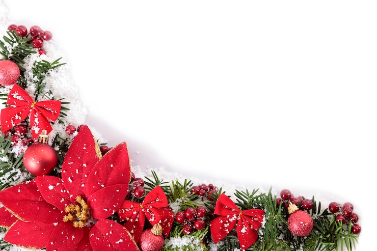 Bezpłatny plik Zdjęcie christmas granicy z poinsecja