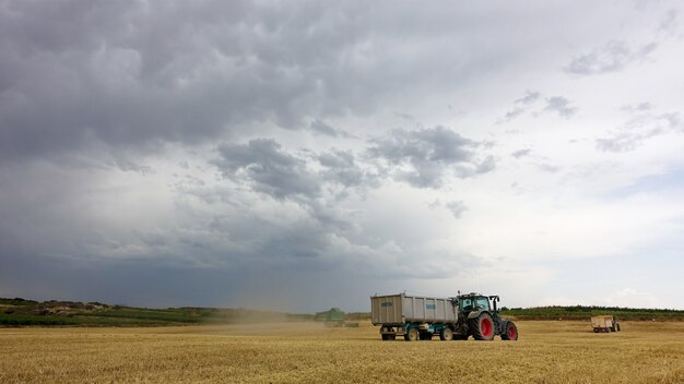 Ciężarówki na polu w pochmurny dzień w czasie żniw