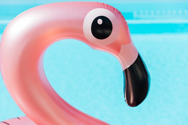 Close-up flamingo pierścień do pływania