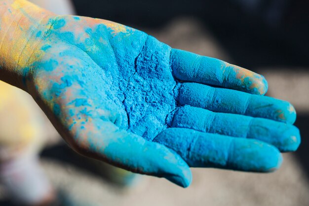 Close-up osoby ręka trzyma błękitnego holi kolor