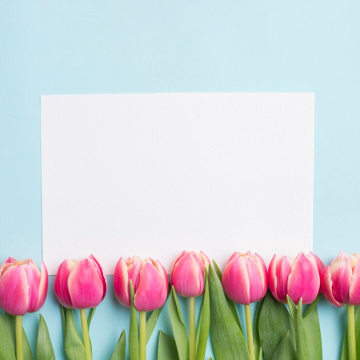 Bezpłatny plik Zdjęcie close-up papier i tulipany
