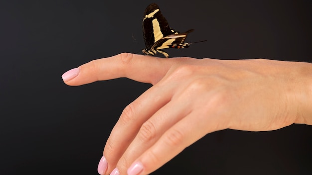 Bezpłatne zdjęcie close-up widok motyla siedzącego pod ręką