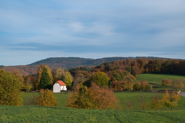 Bezpłatne zdjęcie cmentarz leimberg