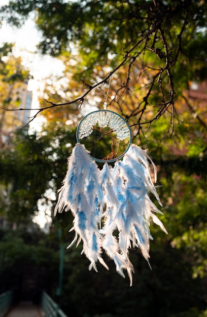 Bezpłatne zdjęcie cool dream catcher na świeżym powietrzu