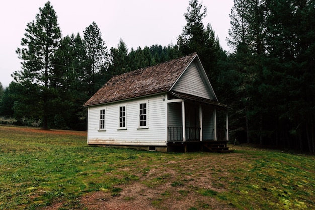 Cudowna scena samotnego małego domku w lesie