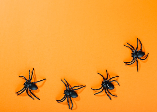 Czarne dekoracyjne pająki ułożone w półkole