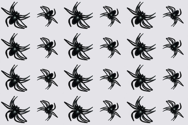 Bezpłatne zdjęcie czarne pająki układane w linie