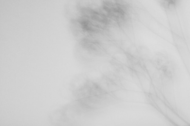 Czarno-biała abstrakcja Tapeta