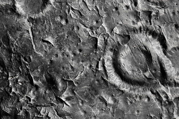 Bezpłatne zdjęcie czarno-białe szczegóły koncepcji tekstury księżyca