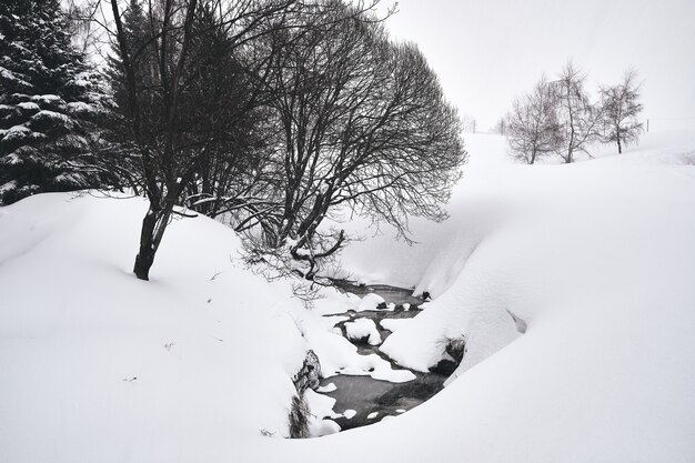 Czarno-białe ujęcie strumienia przepływającego przez ośrodek narciarski Alpe d Huez we francuskich Alpach