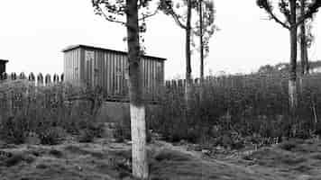 Bezpłatne zdjęcie czarno-białe zdjęcie konstrukcji drewnianej i drzew