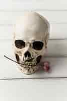 Bezpłatne zdjęcie czaszka z różowym kwiatem