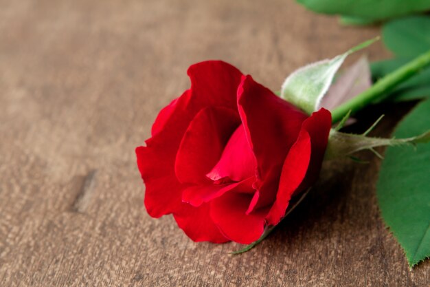 Czerwona róża na drewnianą podłogę