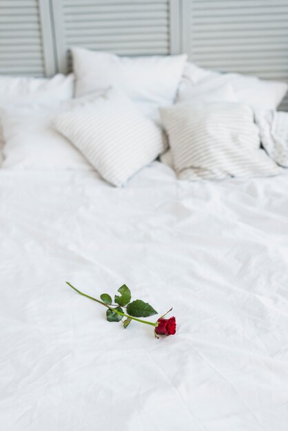 Czerwona róża na łóżku z białą pościelą