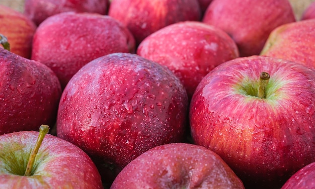 Bezpłatne zdjęcie czerwone dojrzałe jabłka w kroplach wody zbliżenie sezonowe produkty rolne owoce zbierają produkty organiczne w pomysł sklepu na tło