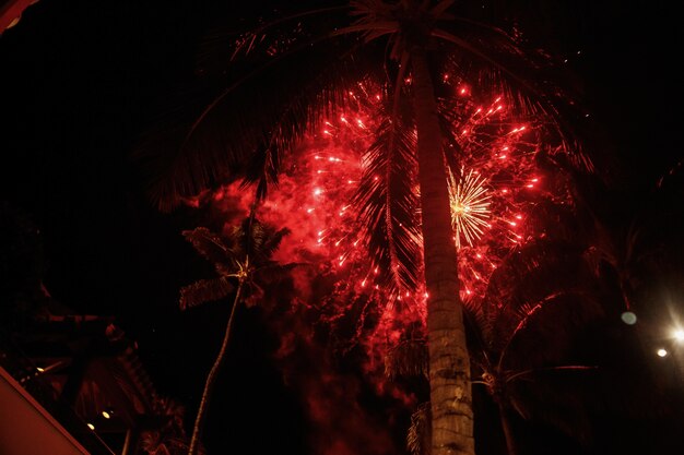 Czerwone fajerwerki wybuchają nad palmami na Hawajach