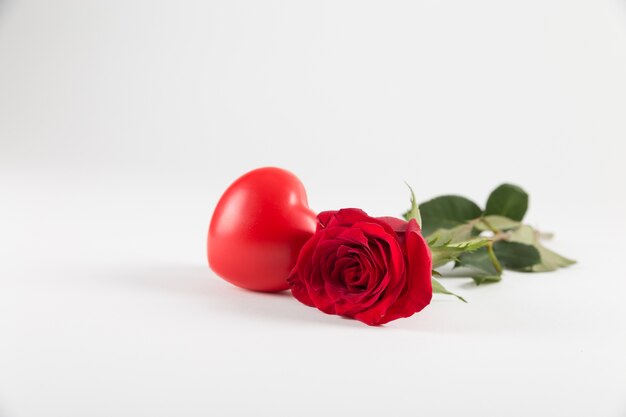 Czerwone serce i róża