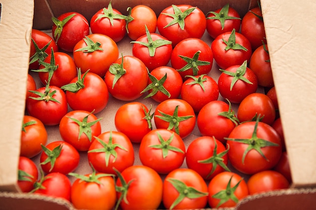 Czerwone świeże pomidory zebrane w kartonowe pudełko na sprzedaż.