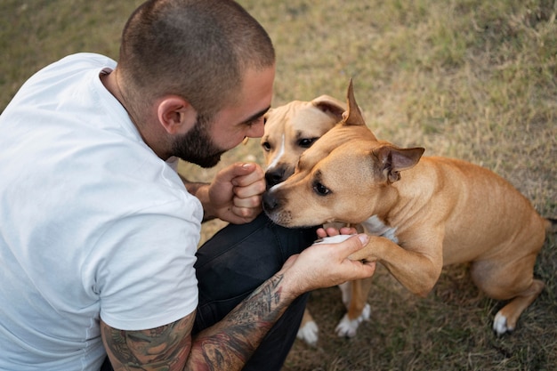 Człowiek trenujący swoje psy pitbull