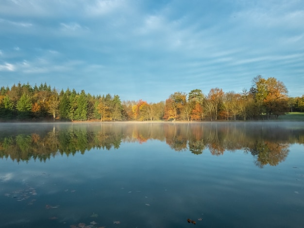 Czyste jezioro z odbiciem drzew i nieba w chłodny wiosenny dzień