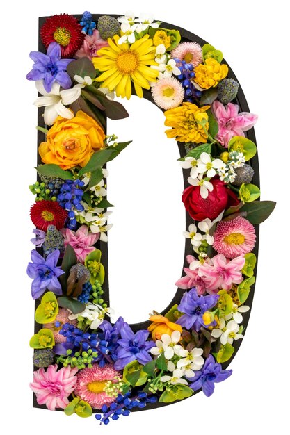 d litery wykonane z prawdziwych naturalnych kwiatów i liści na białym tle izolowane