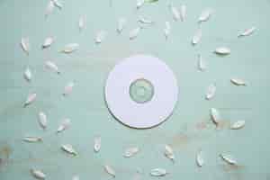 Bezpłatne zdjęcie dekoracyjny cd makieta