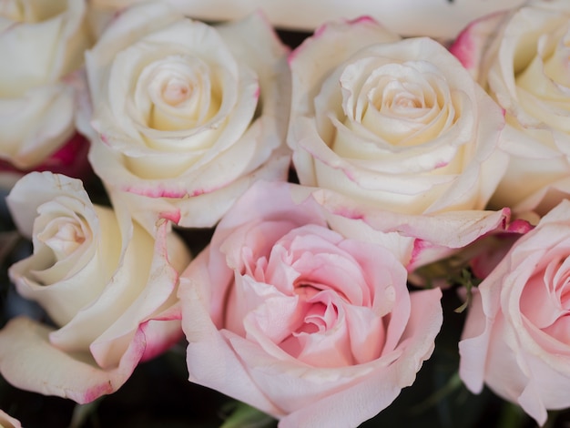 Delikatny różowy bukiet róż z bliska