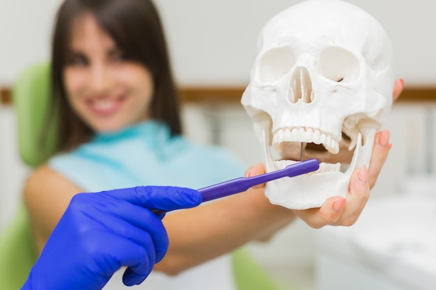 Bezpłatne zdjęcie dentysta trzyma czaszkę i szczoteczkę do zębów