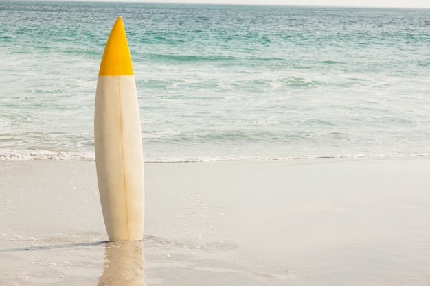 Bezpłatne zdjęcie deska surfingowa w piasku