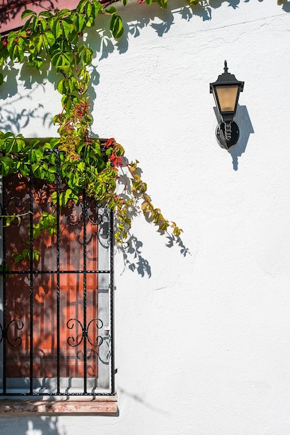 Bezpłatne zdjęcie detale starego domu okno z kratą pokrytą bluszczem na białej otynkowanej ścianie region śródziemnomorski pomysł na tło o podróżach i domach