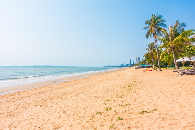 Bezpłatne zdjęcie dłoń drzewo na plaży