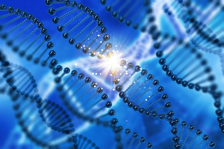 Bezpłatny plik Zdjęcie dna strand