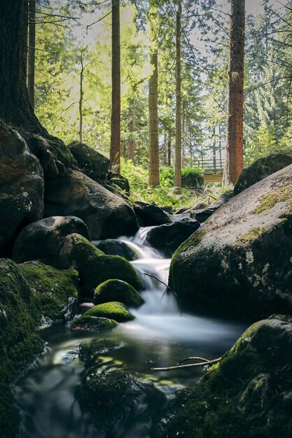 Dobry widok na Park Narodowy Wicklow Mountain