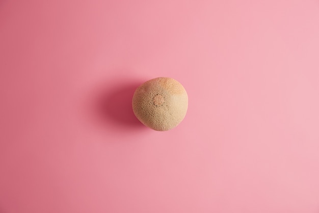 Dojrzały okrągły świeży melon na białym tle na różowym tle. Kanatalupa do jedzenia. Naturalne organiczne dojrzałe owoce latem zawierają witaminy, błonnik może wspierać zdrowie serca. Pyszna przekąska. Koncepcja superfood