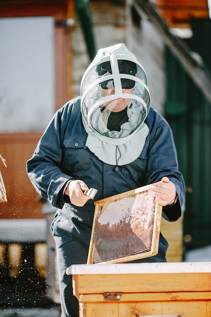 Dojrzały pszczelarz pracuje na ulu w pobliżu uli. Miód naturalny bezpośrednio z ula.