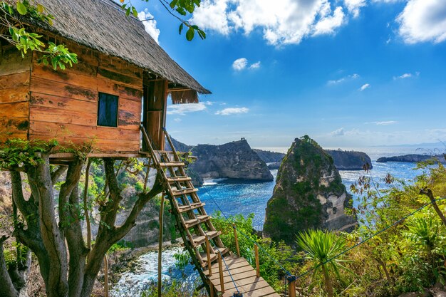 Domek na drzewie i diamentowa plaża na wyspie Nusa penida, Bali w Indonezji