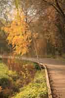 Bezpłatne zdjęcie drewniana droga w parku w jesieni